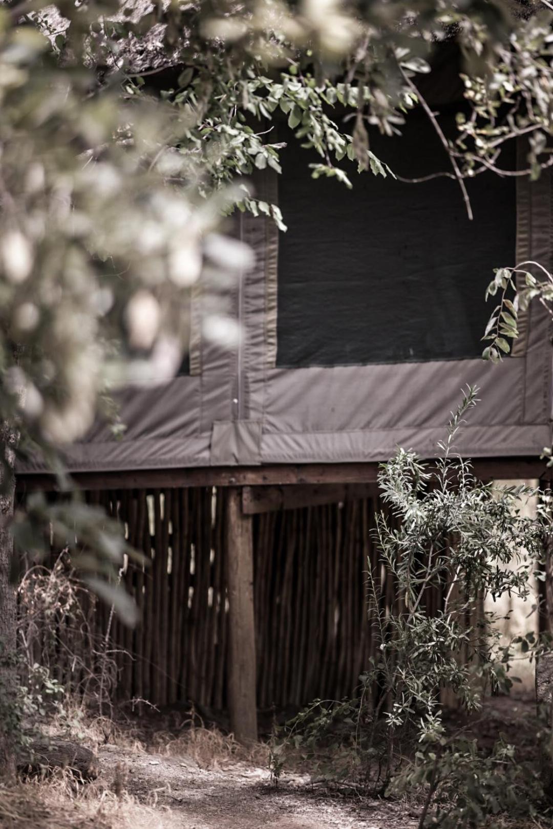 Muweti Bush Lodge Grietjie Game Reserve 外观 照片